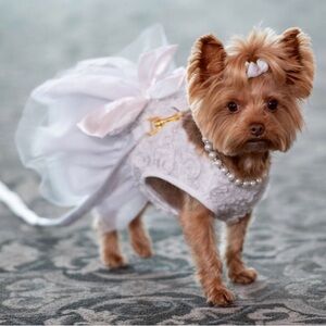 Puppy Flower Girl Dress